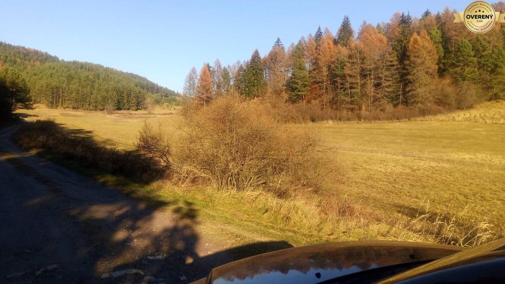 BRIEŠTIE- Hadviga lesný trávnatý pozemok 13 710 m2, vhodný na usadlosť