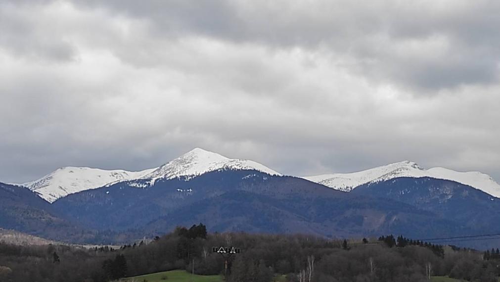TURANY-veľký rekreačný pozemok v blízkosti časti TRUSALOVÁ 7667 m2