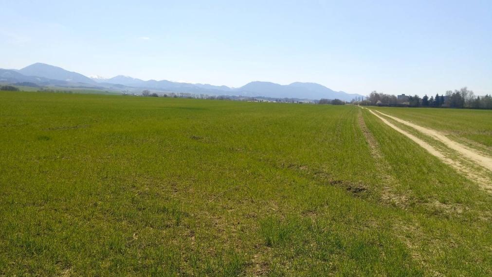 MARTIN- Záturčie pozemok na developerské a komerčné účely 4662 m2