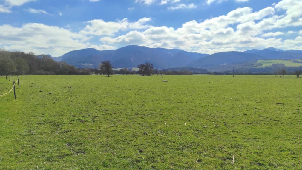 TURANY - pozemok na Družstevnej ulici 2140m2 