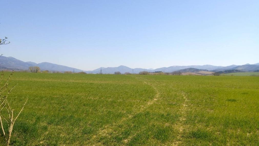 MARTIN-Záturčie pozemok 2884m2 na stavebné účely