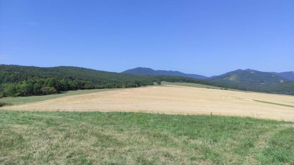 VALČA pozemok s výmerou 5800 m2,  okr. Martin 