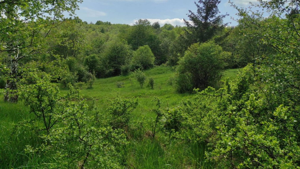 ŠÚTOVO, pozemok 6047m2,okr. MARTIN