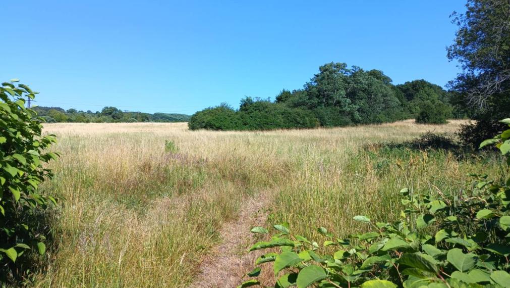 INVESTIČNÝ POZEMOK - Prievidza