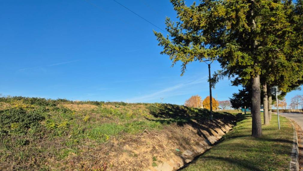 VELČICE - Stavebný pozemok, od 650 m2, okr. Zlaté Moravce