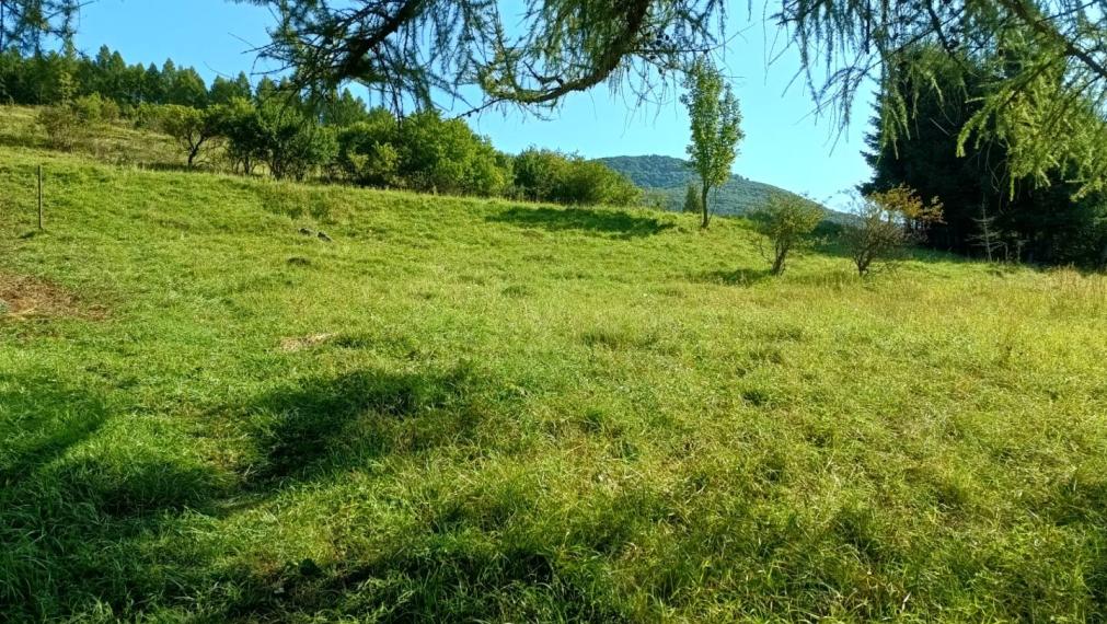 VRÍCKO - Stavebný pozemok vo výmere 1036 m2, okr.Martin