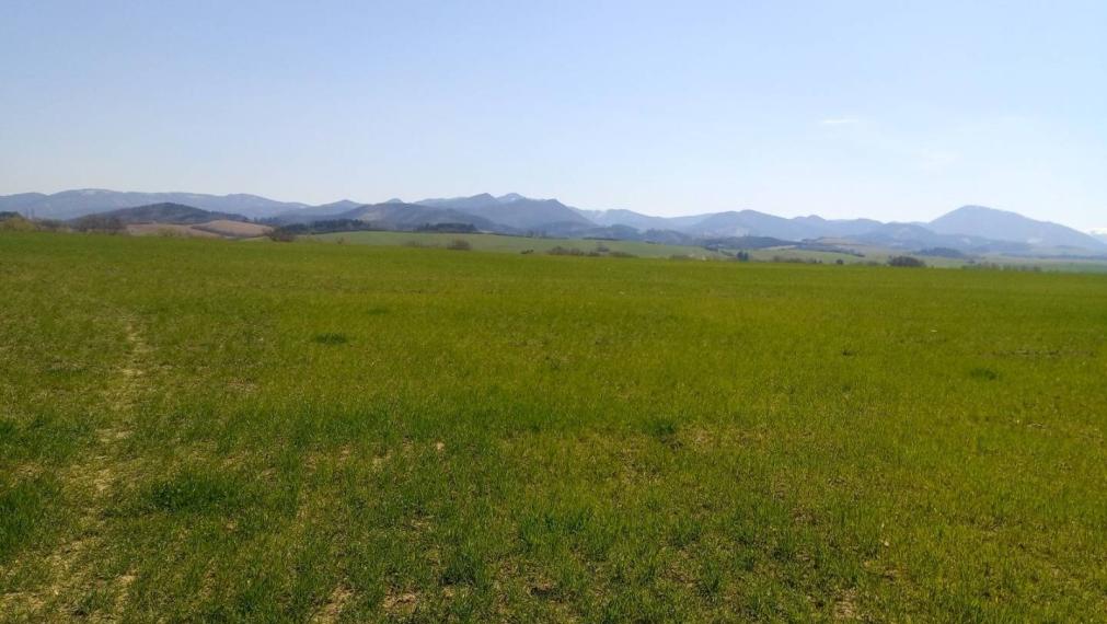 MARTIN-Záturčie pozemok na developerské a komerčné účely 11 672m2