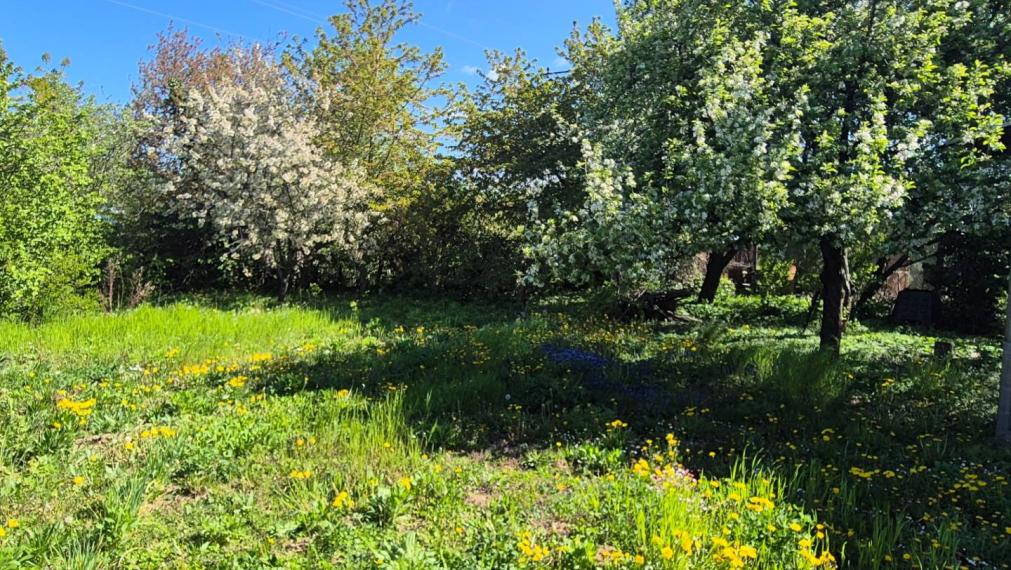 Záhrada, Nitra, 460 m2 , okres Nitra