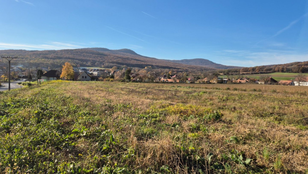 Stavebný pozemok, Velčice, 981 m2, okr. Zlaté Moravce
