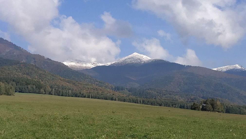 TURANY -  pozemok ,Trusalová 3930 m2,okr. Martin  