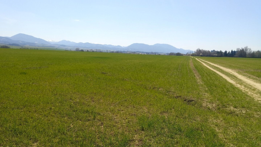 MARTIN- Záturčie pozemok na developerské a komerčné účely 4662 m2