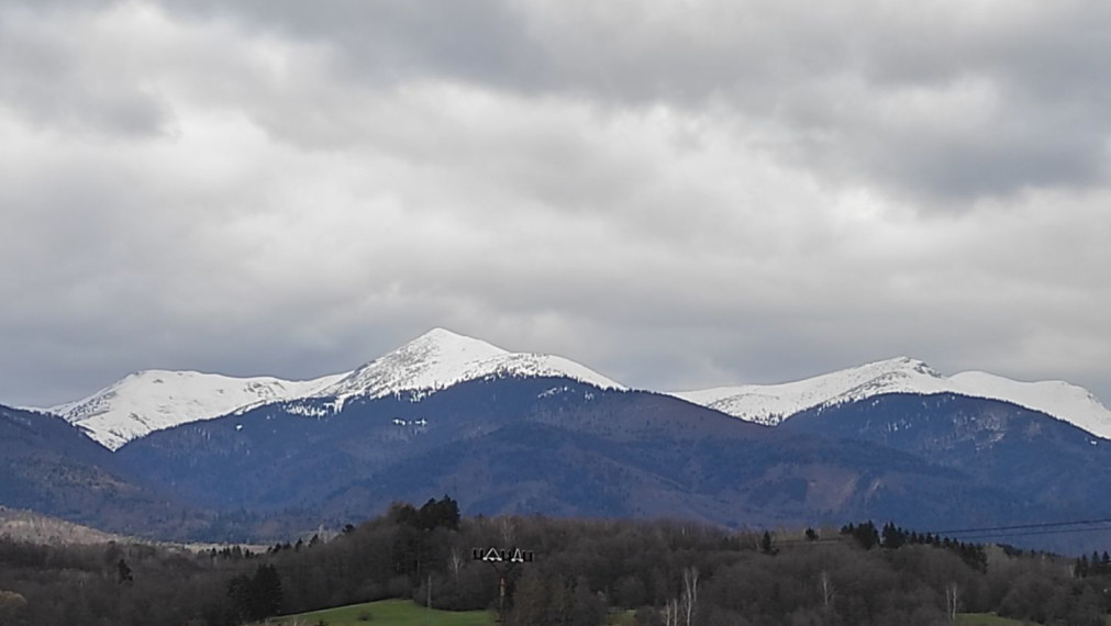 TURANY-veľký rekreačný pozemok v blízkosti časti TRUSALOVÁ 7667 m2