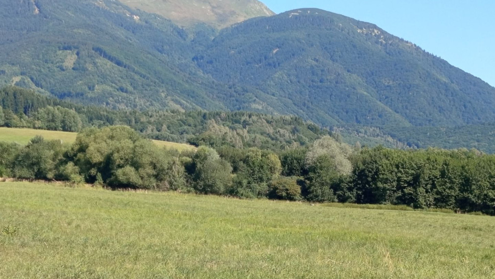 TURANY - časť TRUSALOVÁ  ,rekreačný pozemok 1187m2 oproti  MARKO