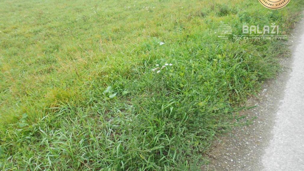 Vozokany pri Galante pozemok 57692 m2 vhodný na podnikanie