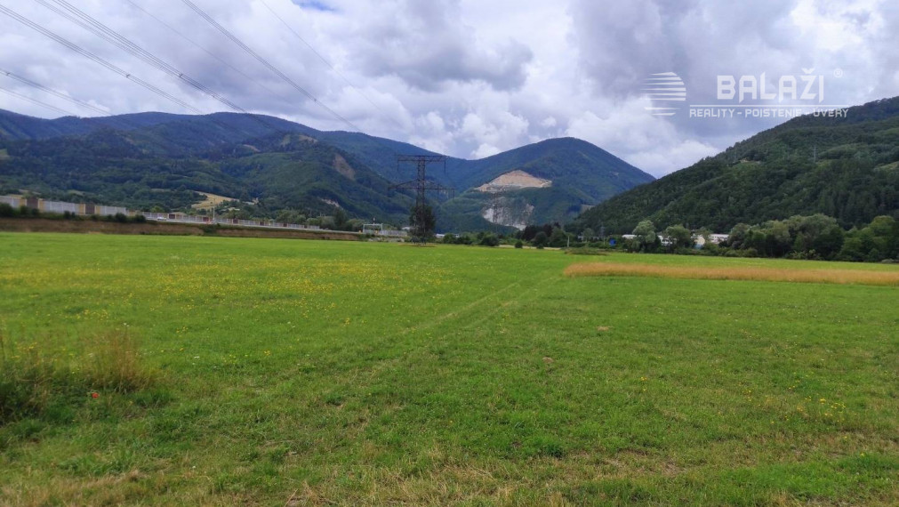 Lipovec - rekreačné pozemky-záhrady 2500m2, výmera 5000m2