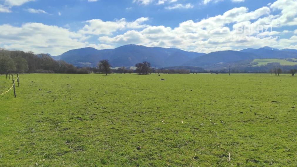 TURANY - pozemok na Družstevnej ulici 2140m2 
