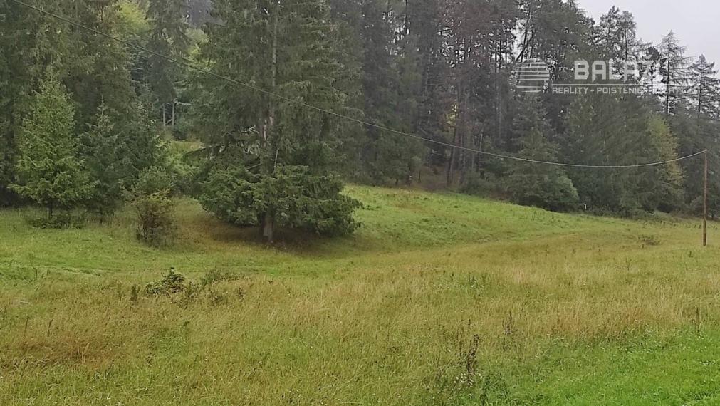 ČREMOŠNÉ-chalupa na pozemku 700m2  