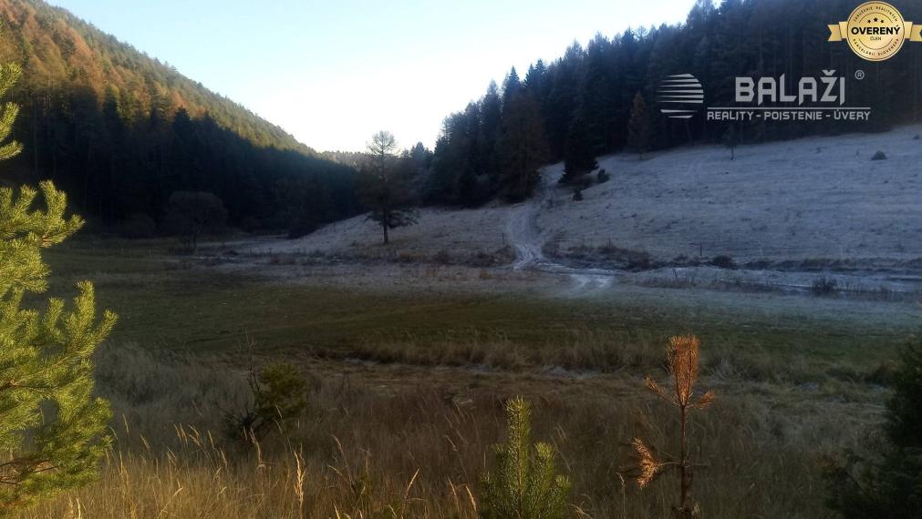 BRIEŠTIE- Hadviga lesný trávnatý pozemok 13 710 m2, vhodný na usadlosť