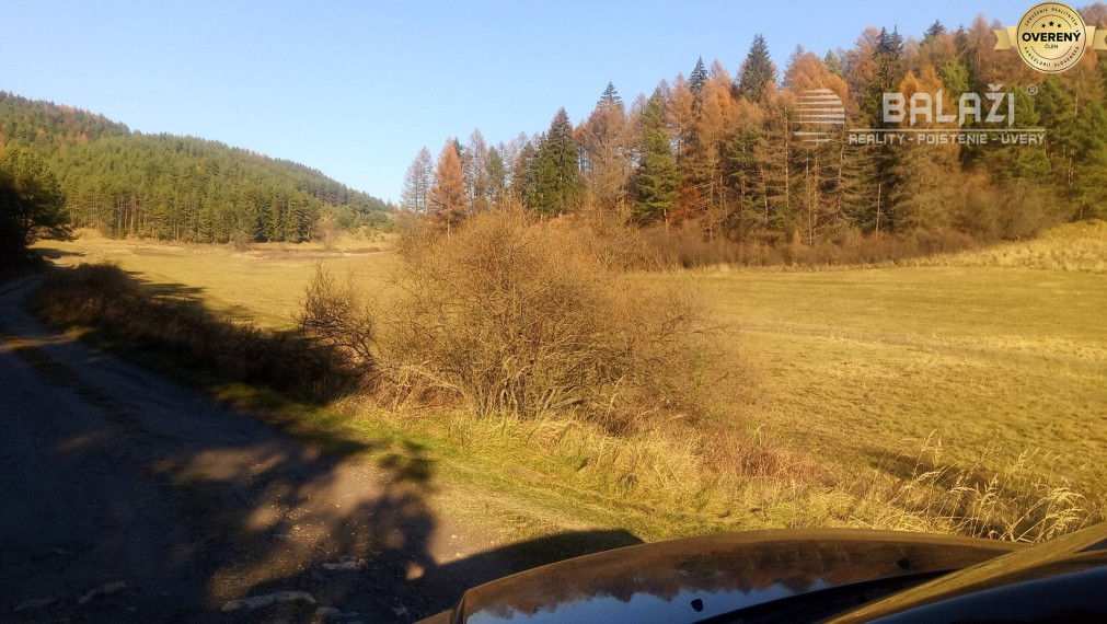 BRIEŠTIE- Hadviga lesný trávnatý pozemok 13 710 m2, vhodný na usadlosť