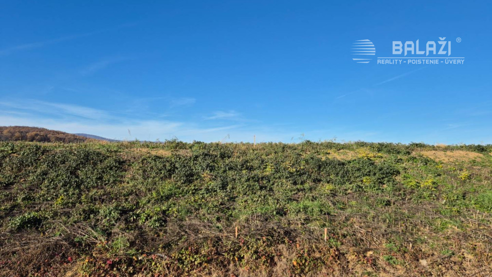 Stavebný pozemok, Velčice, 981 m2, okr. Zlaté Moravce