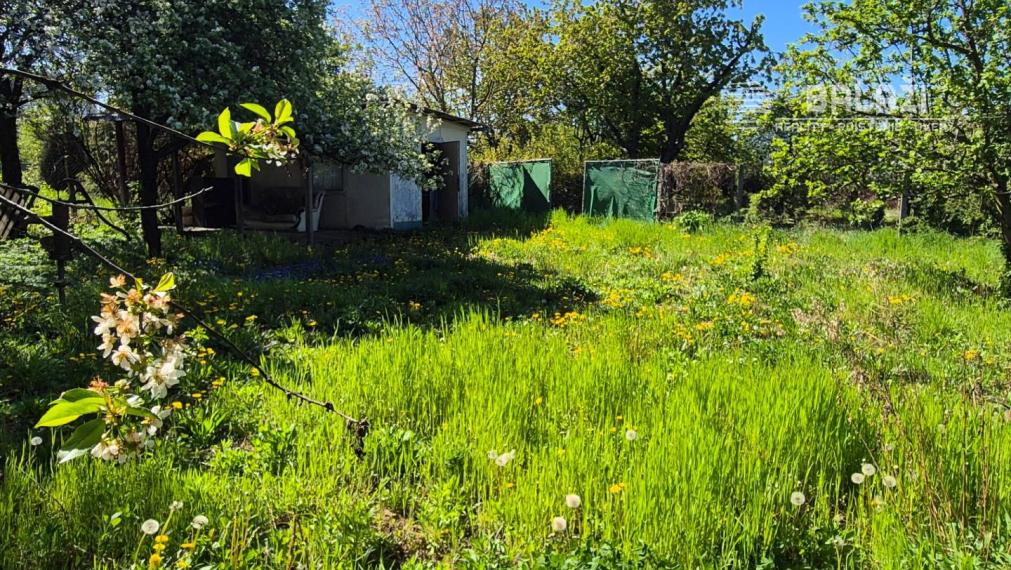 Záhrada, Nitra, 460 m2 , okres Nitra