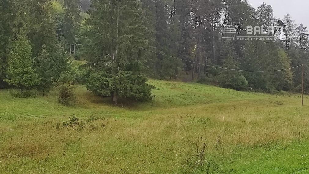 ČREMOŠNÉ-chalupa na pozemku 700m2  