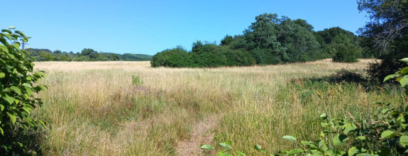 INVESTIČNÝ POZEMOK - Prievidza