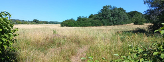 INVESTIČNÝ POZEMOK - Prievidza