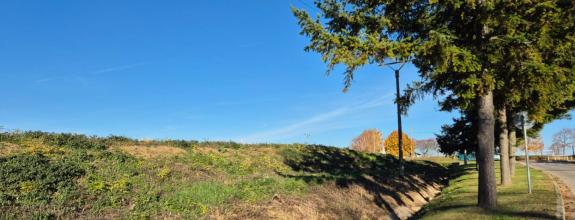 Stavebný pozemok, od 650 m2, Velčice, okr. Zlaté Moravce