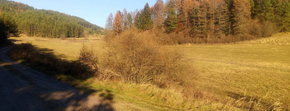 BRIEŠTIE- Hadviga lesný trávnatý pozemok 13 710 m2, vhodný na usadlosť