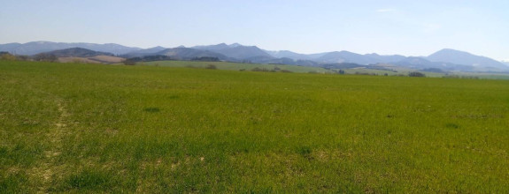 MARTIN-Záturčie pozemok o výmere 3310m2 na stavebné účely