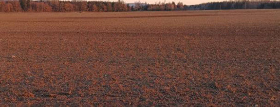 Turčianske Teplice - Diviaky - Orná pôda s výmerou 5571 m2