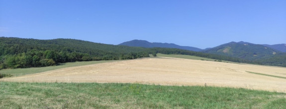 VALČA pozemok s výmerou 5800 m2,  okr. Martin 