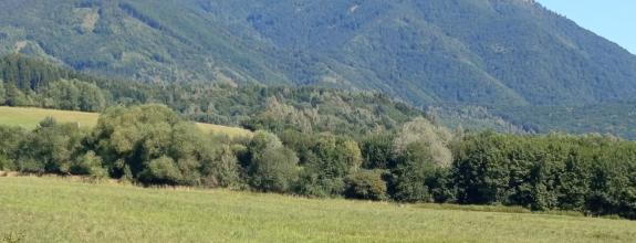 TURANY - časť TRUSALOVÁ  ,rekreačný pozemok 1187m2 oproti  MARKO