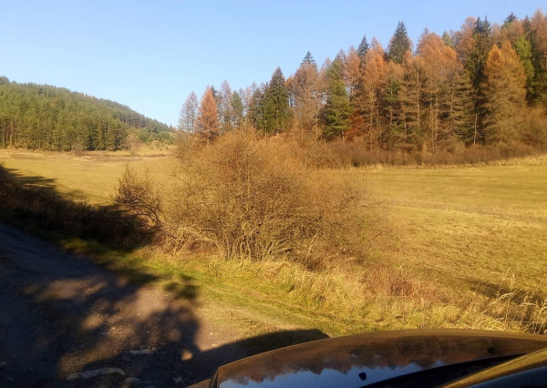 BRIEŠTIE- Hadviga lesný trávnatý pozemok 13 710 m2, vhodný na usadlosť