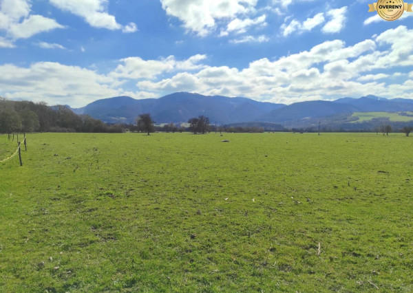 TURANY - pozemok na Družstevnej ulici 2140m2 