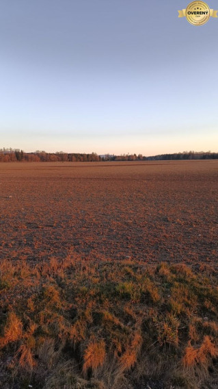 Turčianske Teplice - Diviaky - Orná pôda s výmerou 5571 m2